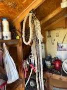 Horse Tack
