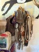 Horse Tack