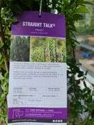 4) Straight Talk Privets