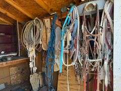 Horse Tack