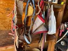 Horse Tack