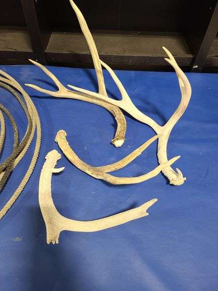 4) Antlers, Roping Rope