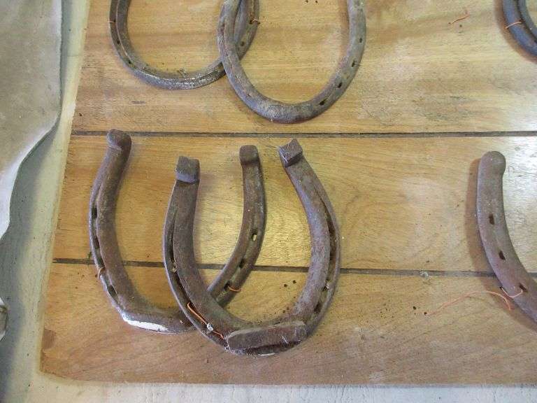 Farrier Chaps, Horseshoe Sample Board, Hammer