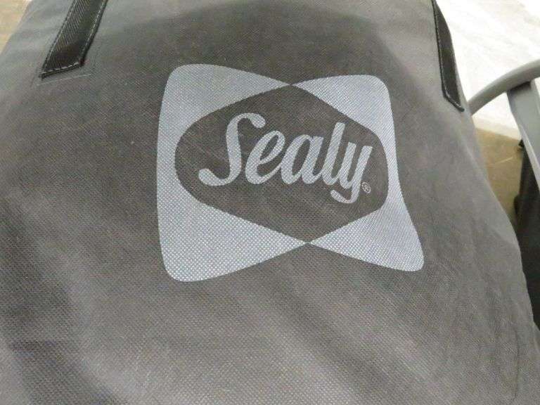 Sealy Air Mattress