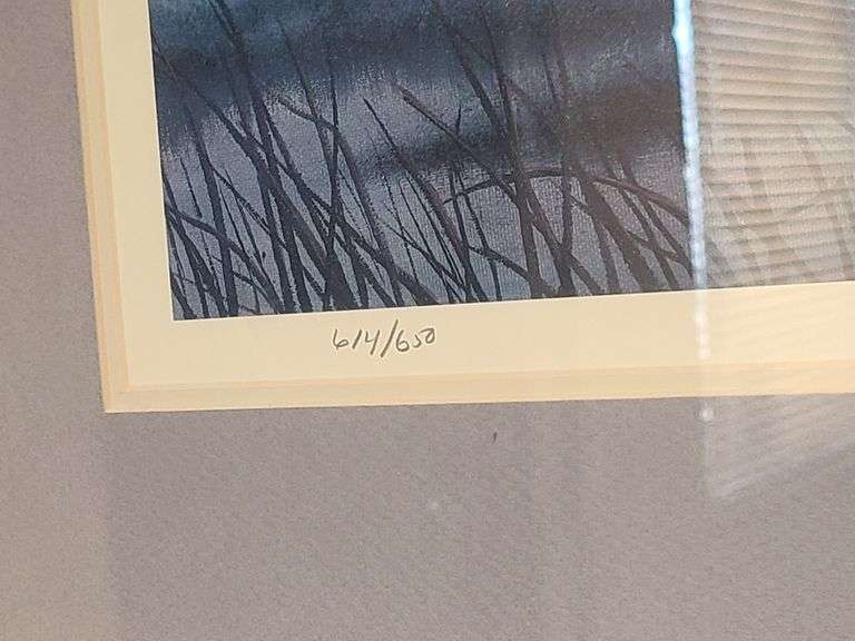 2) Framed Nature Prints