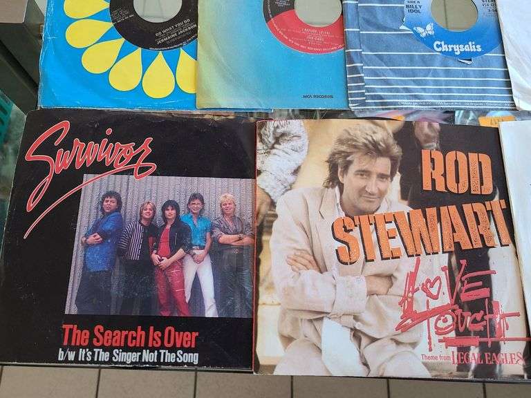 24) Vinyl Records - Bryan Adams, Rod Stewart, Survivors, Bon Jovi, Whitesnake and More