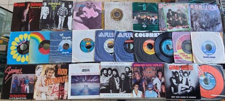 24) Vinyl Records - Bryan Adams, Rod Stewart, Survivors, Bon Jovi, Whitesnake and More