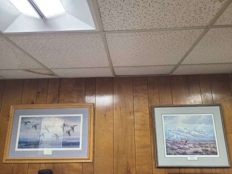2) Framed Nature Prints