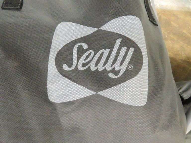 Sealy Air Mattress