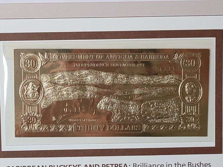 5) Gold Colored Bank Notes