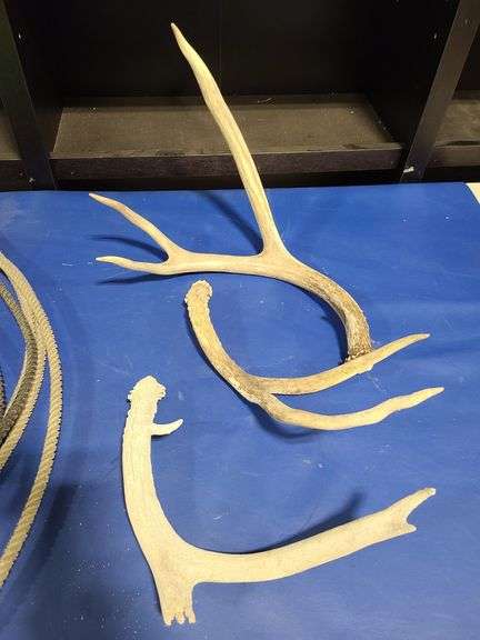 4) Antlers, Roping Rope