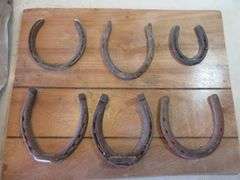 Farrier Chaps, Horseshoe Sample Board, Hammer