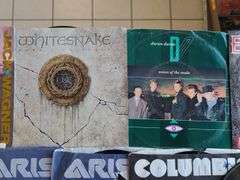 24) Vinyl Records - Bryan Adams, Rod Stewart, Survivors, Bon Jovi, Whitesnake and More