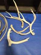 4) Antlers, Roping Rope