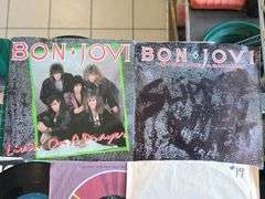 24) Vinyl Records - Bryan Adams, Rod Stewart, Survivors, Bon Jovi, Whitesnake and More