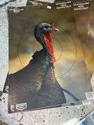 Assorted Targets