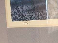 2) Framed Nature Prints