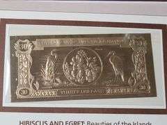 5) Gold Colored Bank Notes