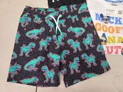 Boy's Shorts, Swim Trunks, Gap Jacket, T-Shirt