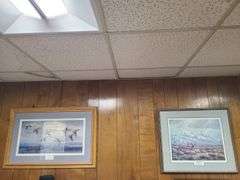 2) Framed Nature Prints
