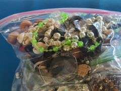 Costume Jewelry: Necklaces, Earrings, Bracelets, Tokens