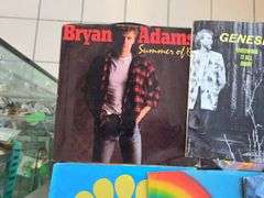 24) Vinyl Records - Bryan Adams, Rod Stewart, Survivors, Bon Jovi, Whitesnake and More