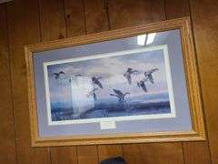 2) Framed Nature Prints