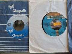 24) Vinyl Records - Bryan Adams, Rod Stewart, Survivors, Bon Jovi, Whitesnake and More