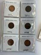 6) Indian Head Cents, 2) Brilliant Uncirculated Old Wheat Cents
