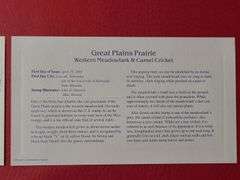 Gold Replicas of "Civil War" and "Great Plains Prairie" United States Stamps