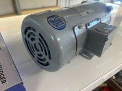 Leeson Electric Motor