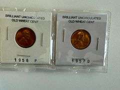 6) Indian Head Cents, 2) Brilliant Uncirculated Old Wheat Cents