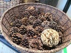 Assorted Baskets
