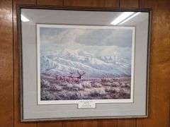 2) Framed Nature Prints