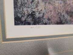 2) Framed Nature Prints