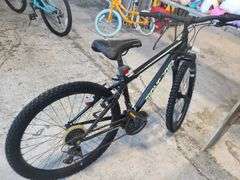 Mongoose Excursion Mountain Bike