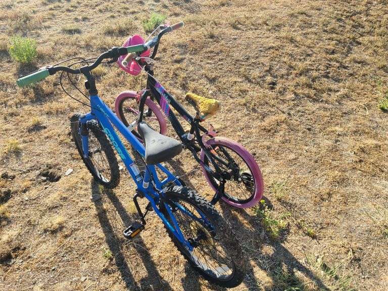2) Children's Bicycle