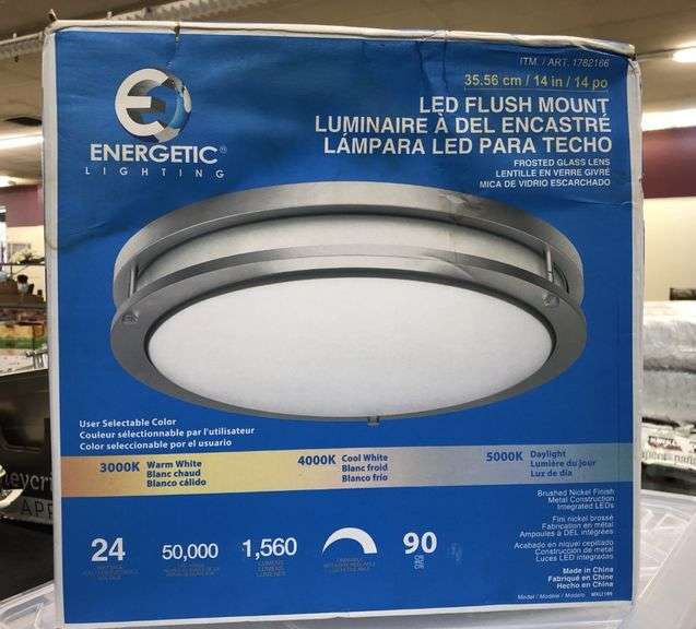 Energetic Lighting Led Flush Mount