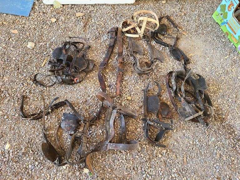 Assorted Bridles