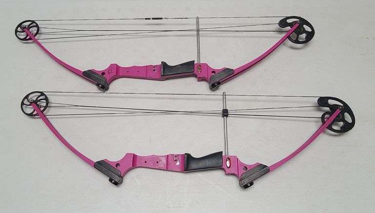 2) Youth Archery Genesis Bows
