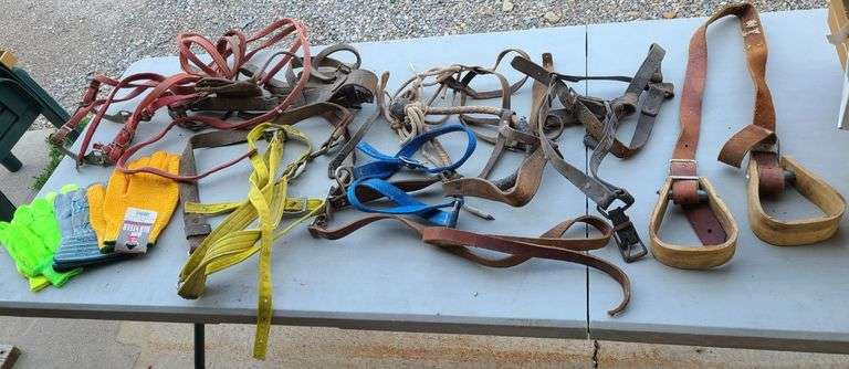 Horse Tack, 3) Gloves