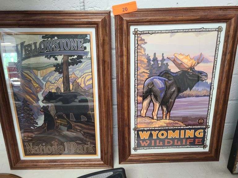 2) Framed Wildlife Pictures