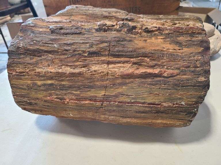Petrified Wood Boulder