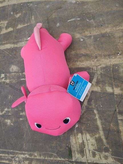 Axolotl Pool Buddy