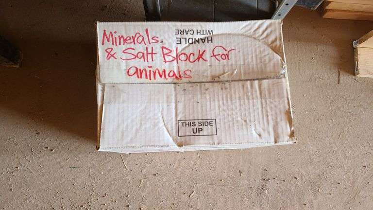 Mineral Salt Block
