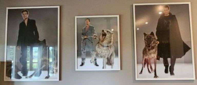 3) David Bowie Framed Art Pieces