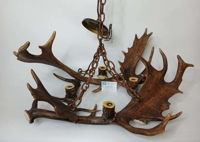 Moose Antler Chandelier