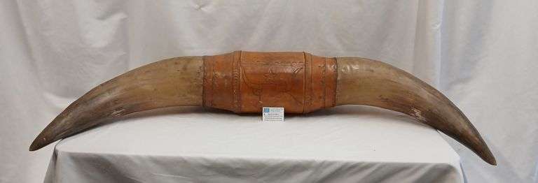 Bull Horn Mount