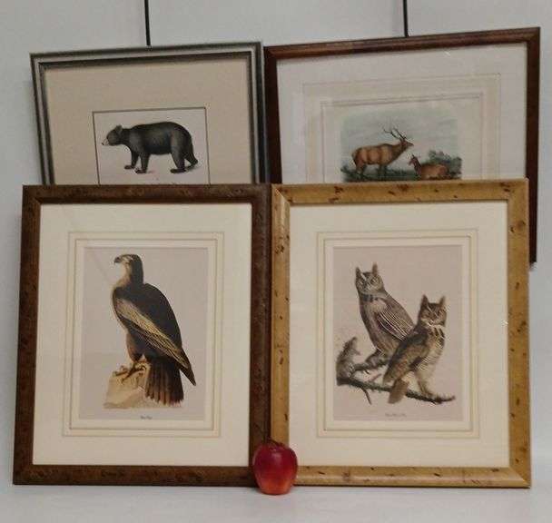 Audubon, Wildlife, Prints