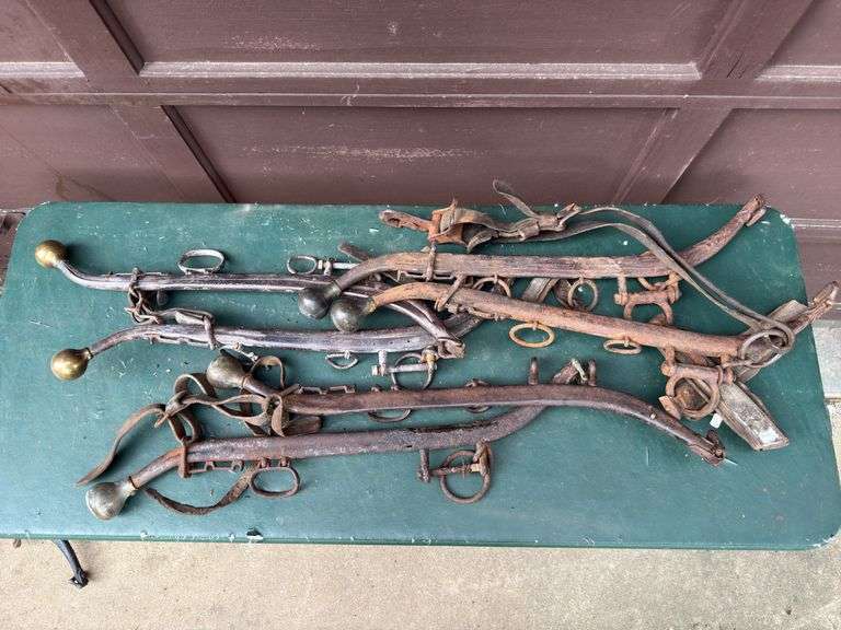 Vintage Horse Hanes
